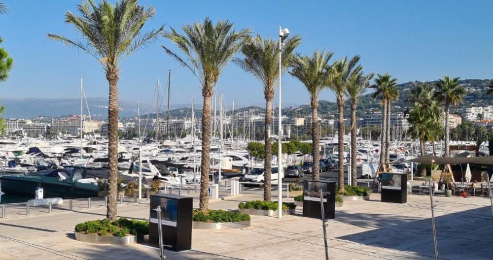 Studio Antibes centre ville - Photo 22