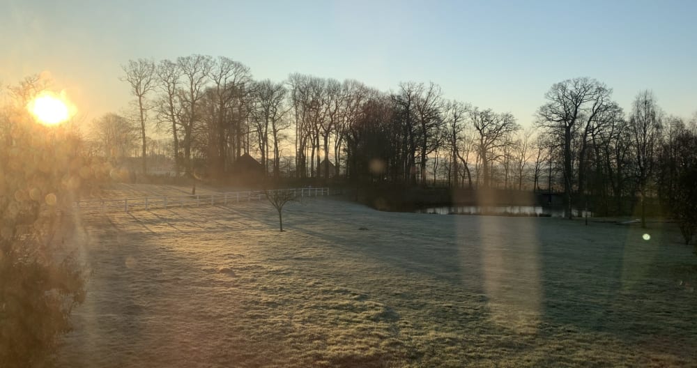 The Manor of the Countryside - Picture 11