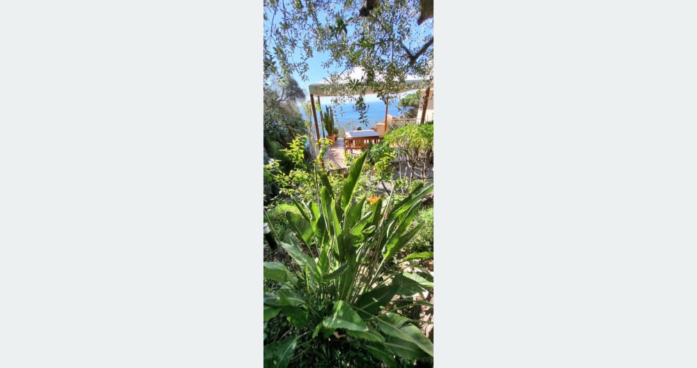 The best plan mixing calm, privacy sun and sea. - Picture 10