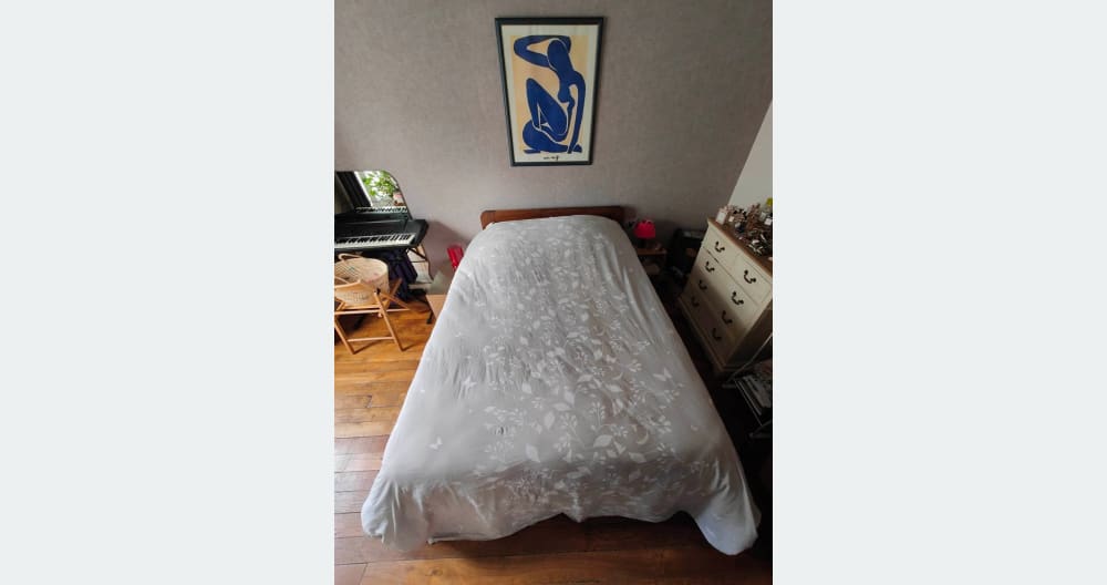 Chambre dans appartement - Photo 3