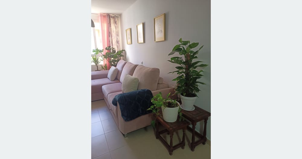 Private room in an apartment 4 minutes from the lively area - Picture 3