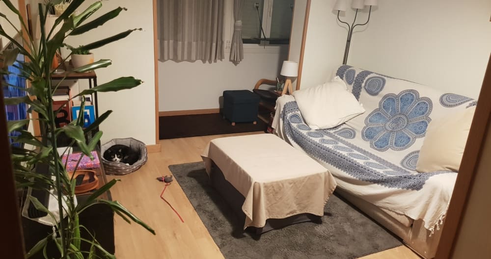 Schöne Wohnung in der Nähe der U-Bahn - Foto 1