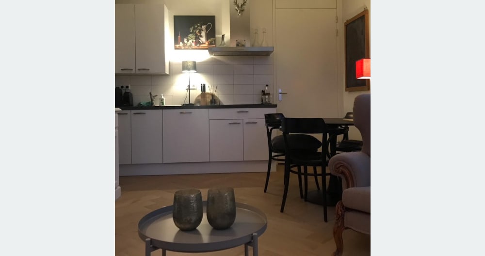 Beautiful apartment with loggia in the center of Amsterdam. - Picture 4