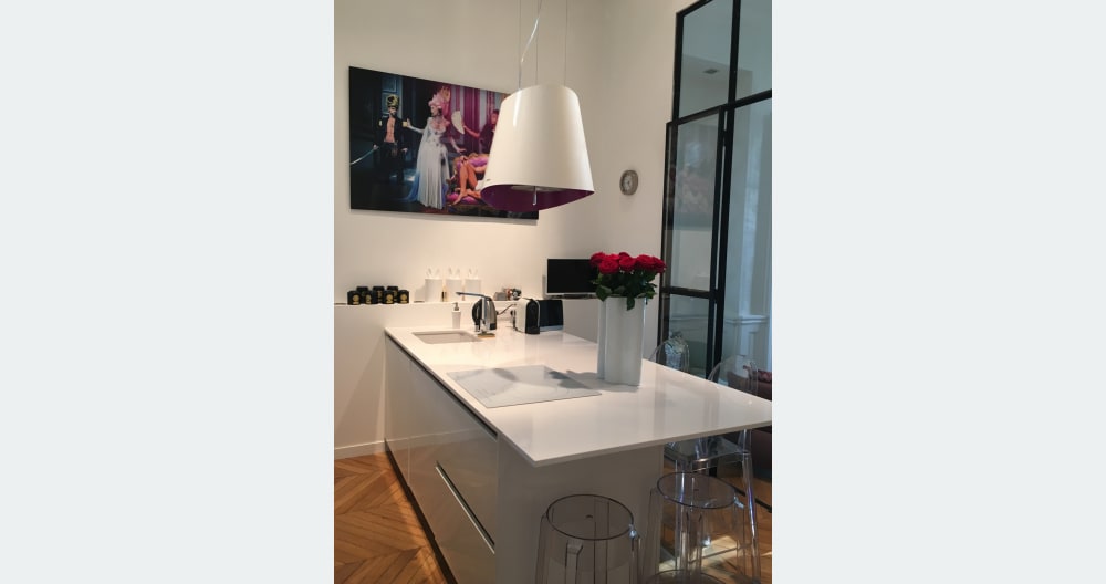 Quarto grande num apartamento de luxo no centro da cidade, no quai Du Rhone - Foto 1