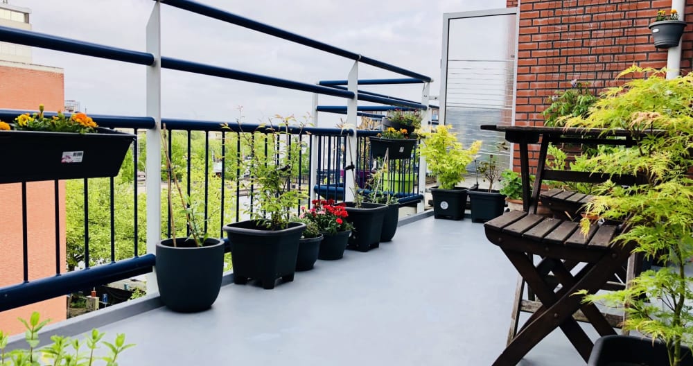 Ampie camere ad Amsterdam con terrazza e parcheggio privato - Foto 1