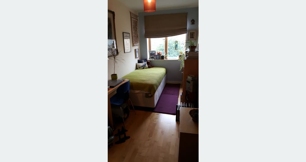 Stylish Single Room in the heart of Dublin City - Picture 2