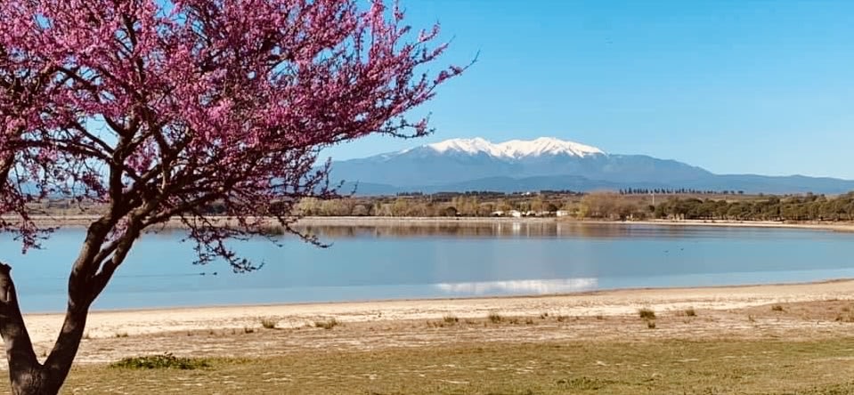 Espaçosa vivenda a 30 metros do lago de natação de Villeneuve de la Raho - Foto 1