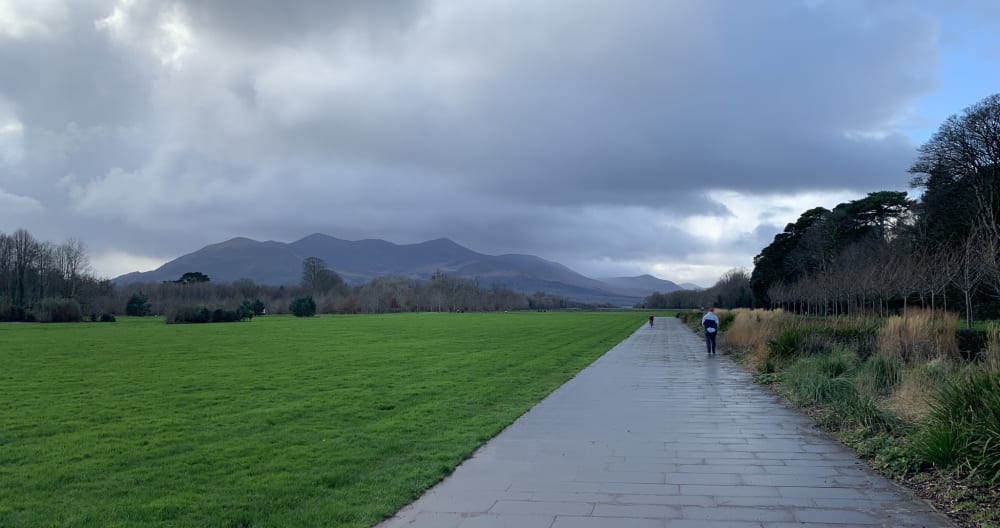 Maison située sur la route de Muckross à proximité du centre ville - Photo 2