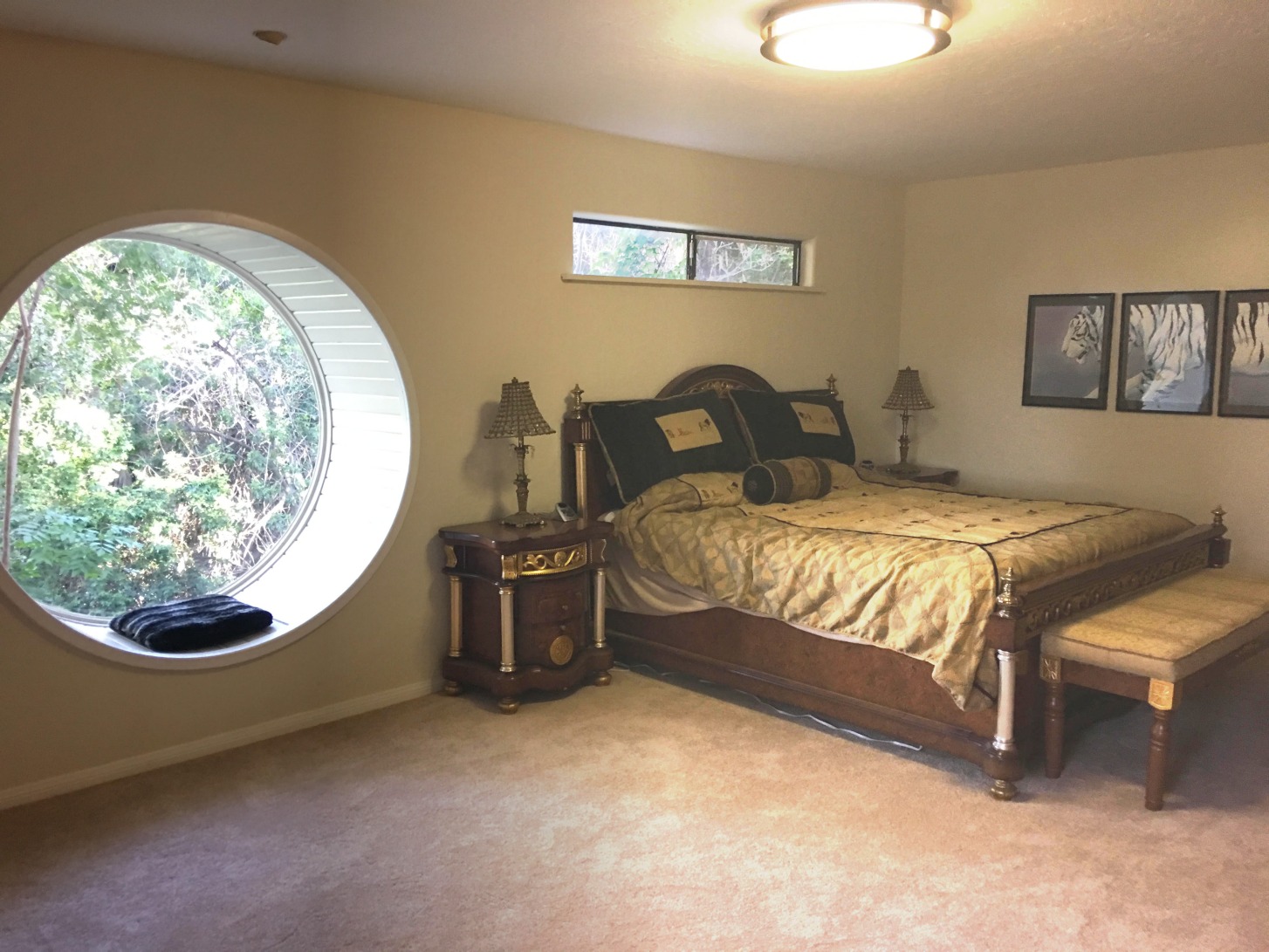 Villa Valhalla Men's Retreat Gay to rent in Riverside