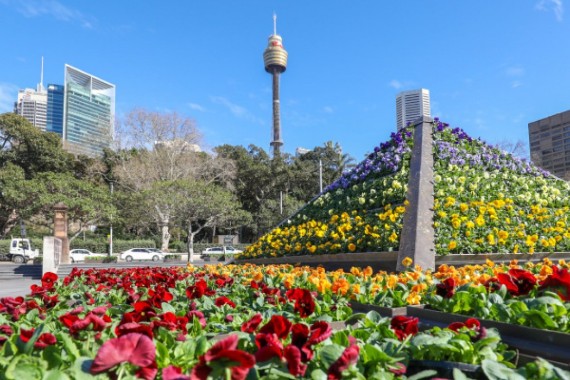 World Pride Sydney