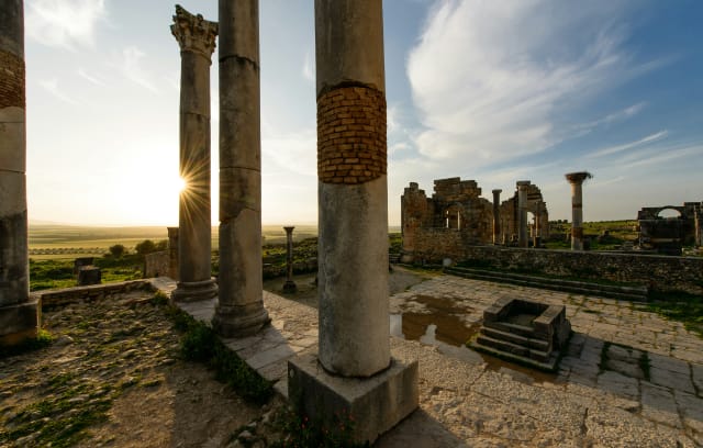 Explorant les meravelles d'un museu a l'aire lliure: art, cultura i naturalesa