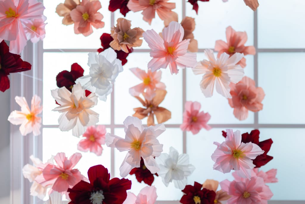 Fortuny. La observación de la naturaleza. El poder de la mirada.