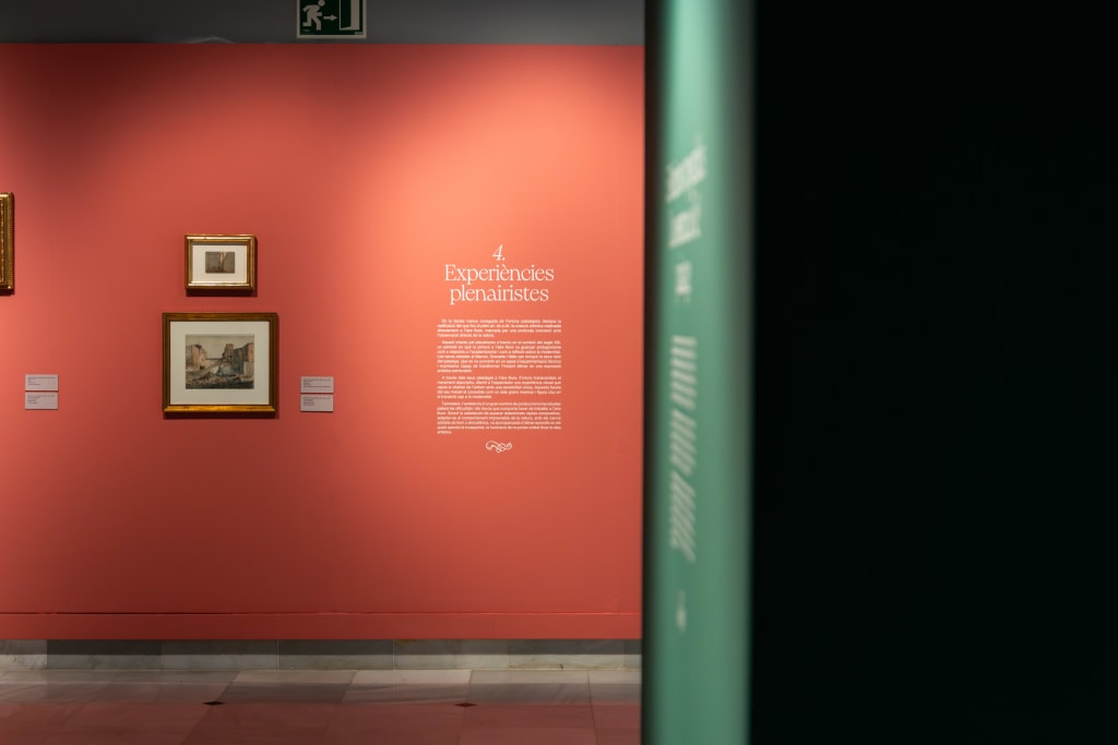 Fortuny. La observación de la naturaleza. El poder de la mirada.