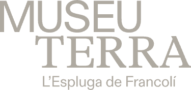 Museu Terra