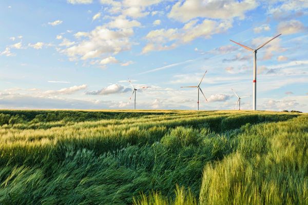 Calm rolling hills with windmills illustrating sustainable pace for a Scrum and agile team.