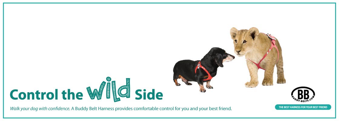 Buddy Belts Buddy Belts