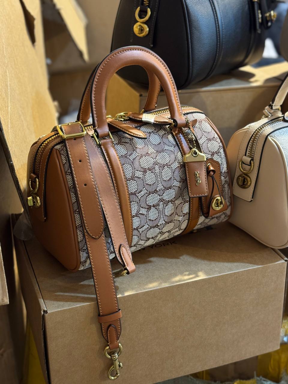 Marron Signature et Fauve