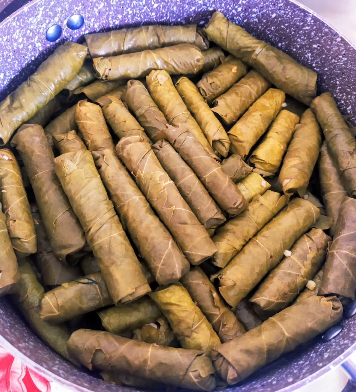 طريقة عمل ورق العنب المحشي الدوالي موقع مجرة