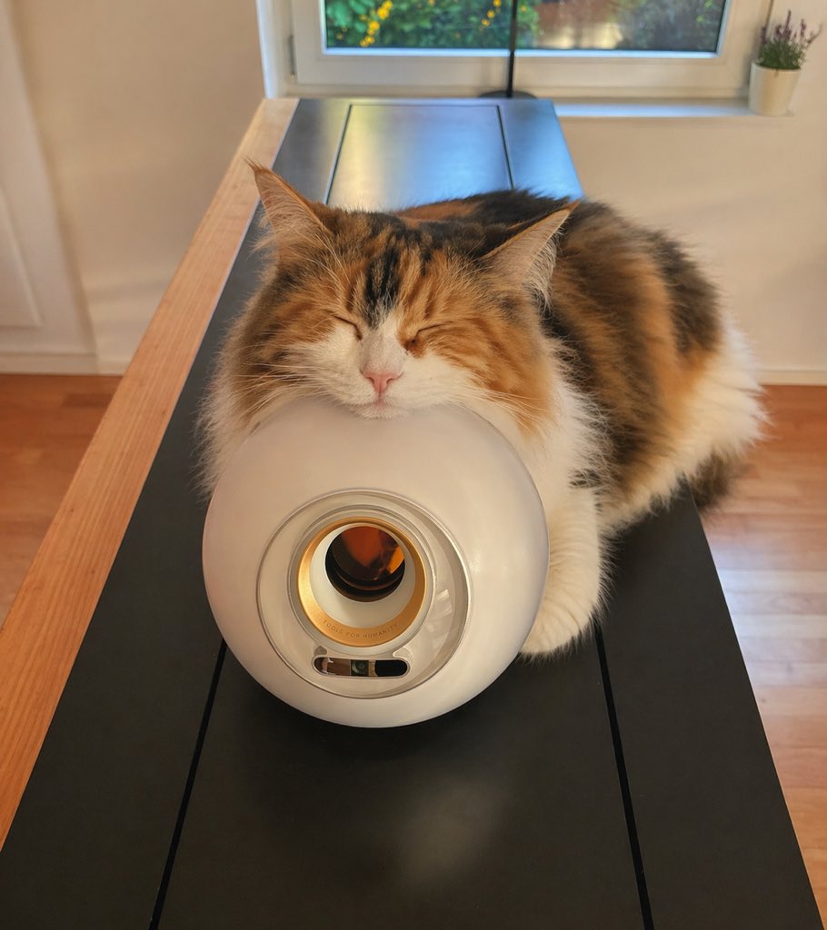 Sleeping Calico on White Appliance AI image template preview