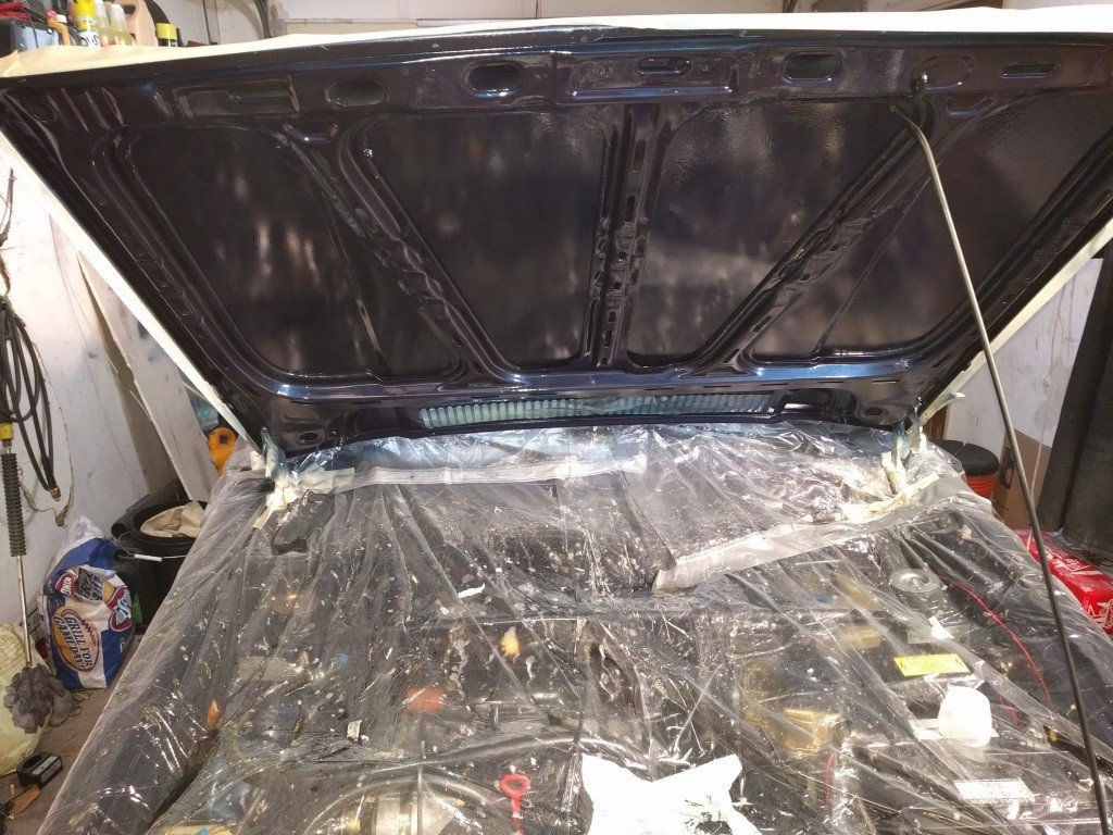 underhood.JPG underhood.JPG
