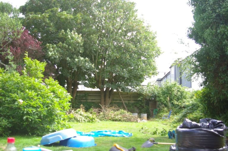 SG109576.jpg SG109576.jpg