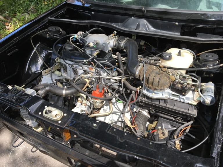 1AB24543-EB04-4DBA-9D05-30D696823F84.jpeg 1AB24543-EB04-4DBA-9D05-30D696823F84.jpeg