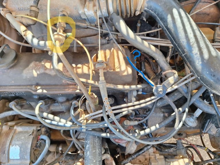 20250511_094437.jpg 20250511_094437.jpg