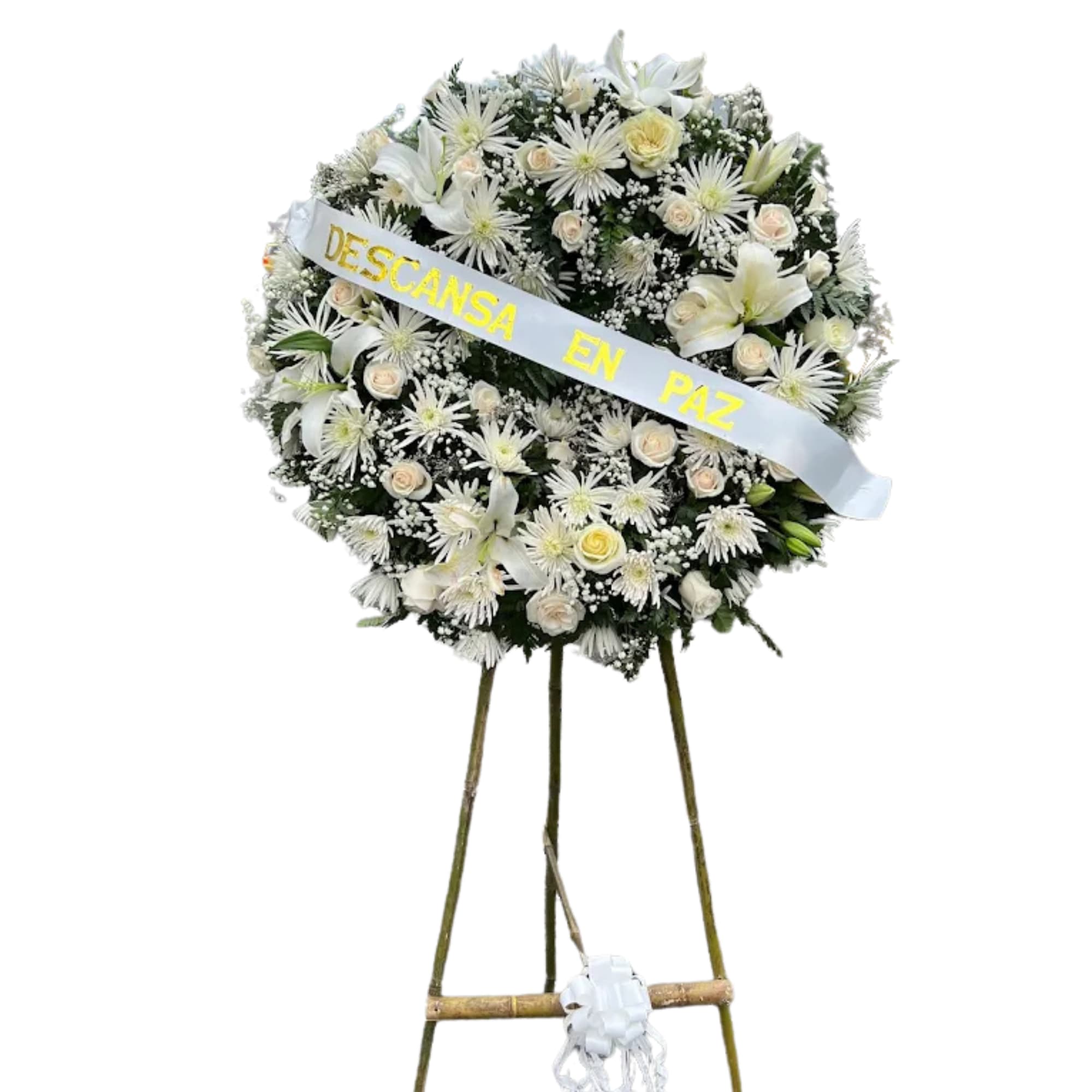 Diseno-sin-titulo-13.png