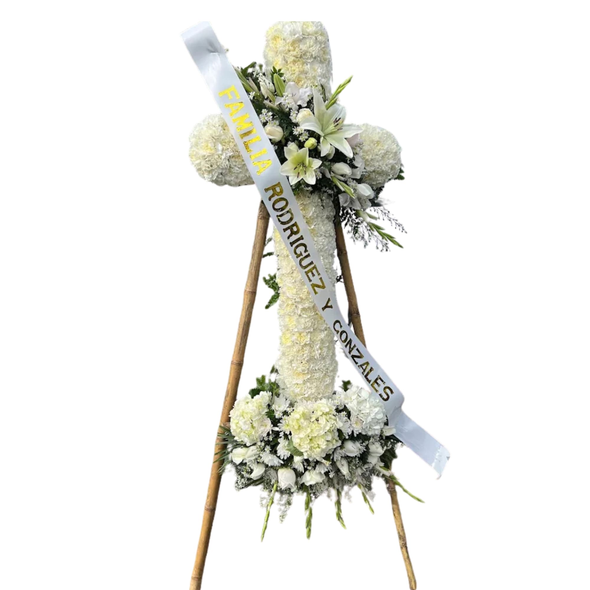 Diseno-sin-titulo-11.png