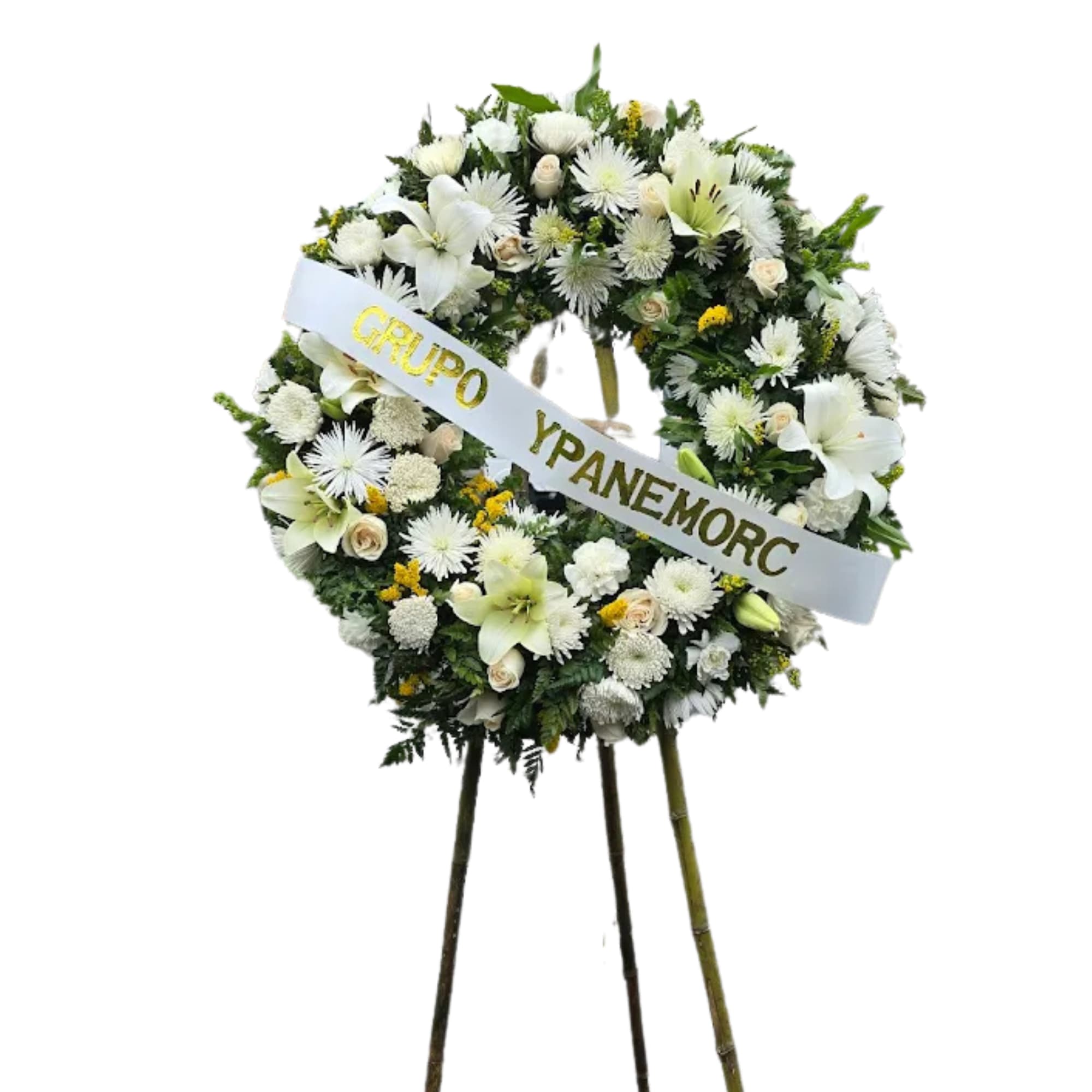 Diseno-sin-titulo-8.png