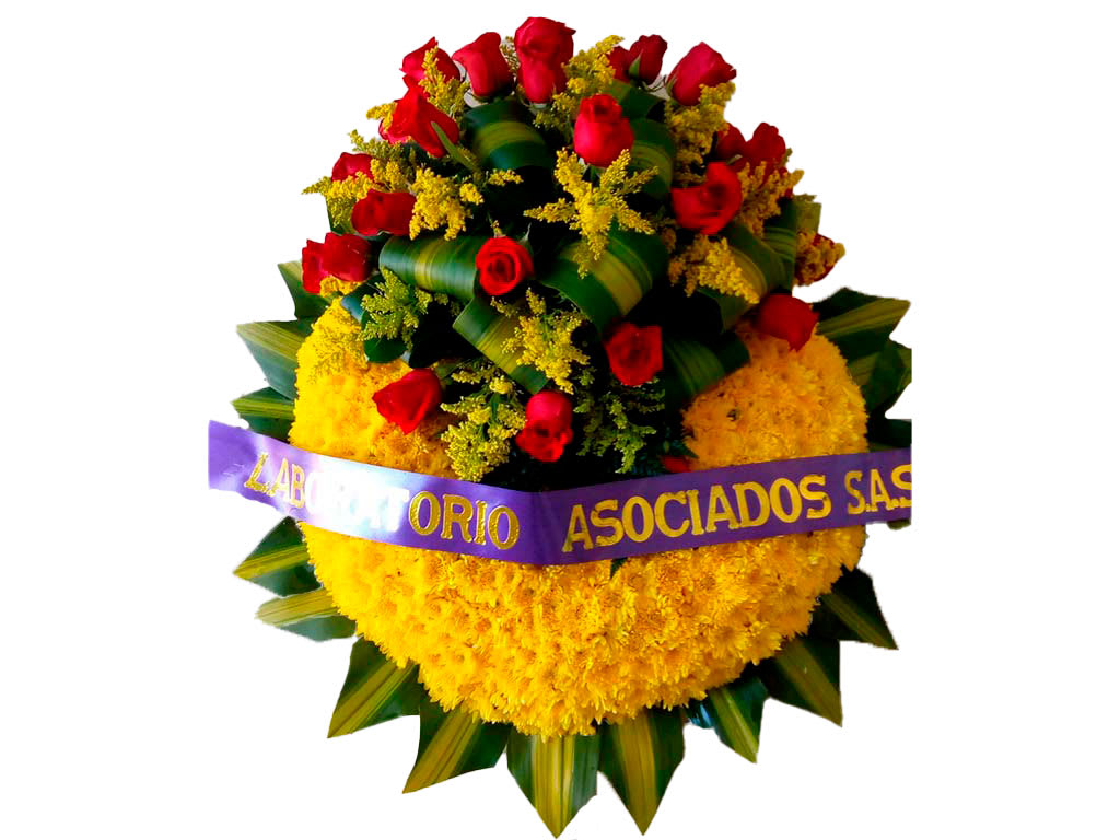 coronas economicas manizales coronas economicas manizales