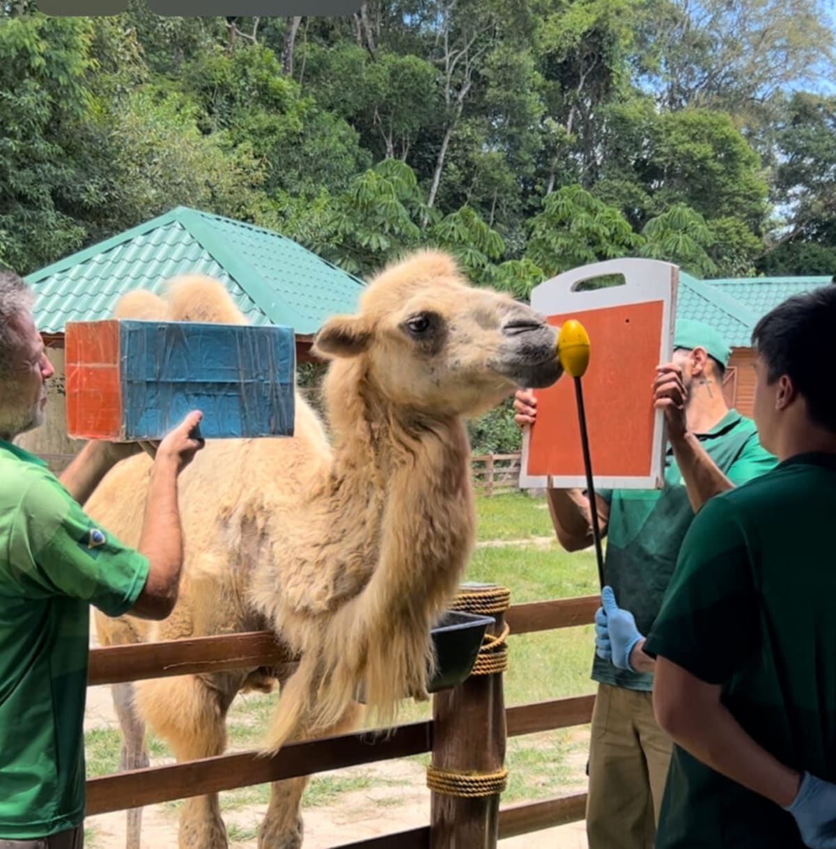 Animália Park - Reserva — foto 2 de 5