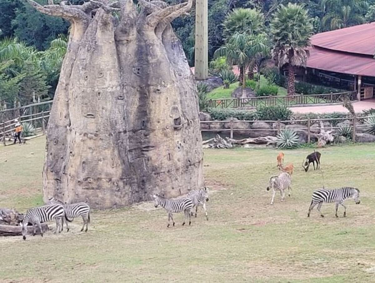 Animália Park - Reserva — foto 5 de 5