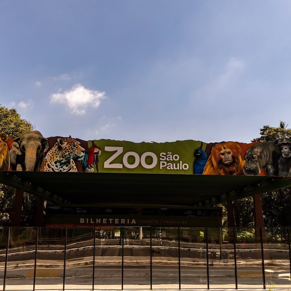 Zoológico de São Paulo — foto 1 de 5