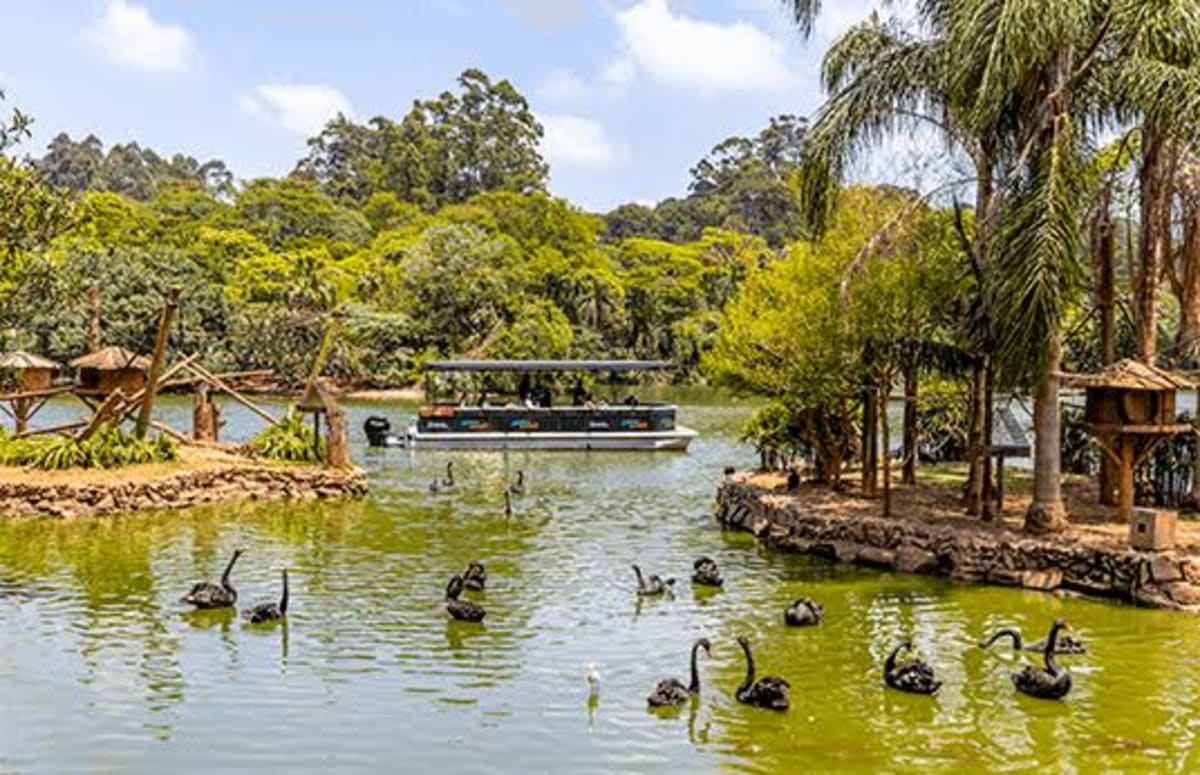 Zoológico de São Paulo — foto 2 de 5