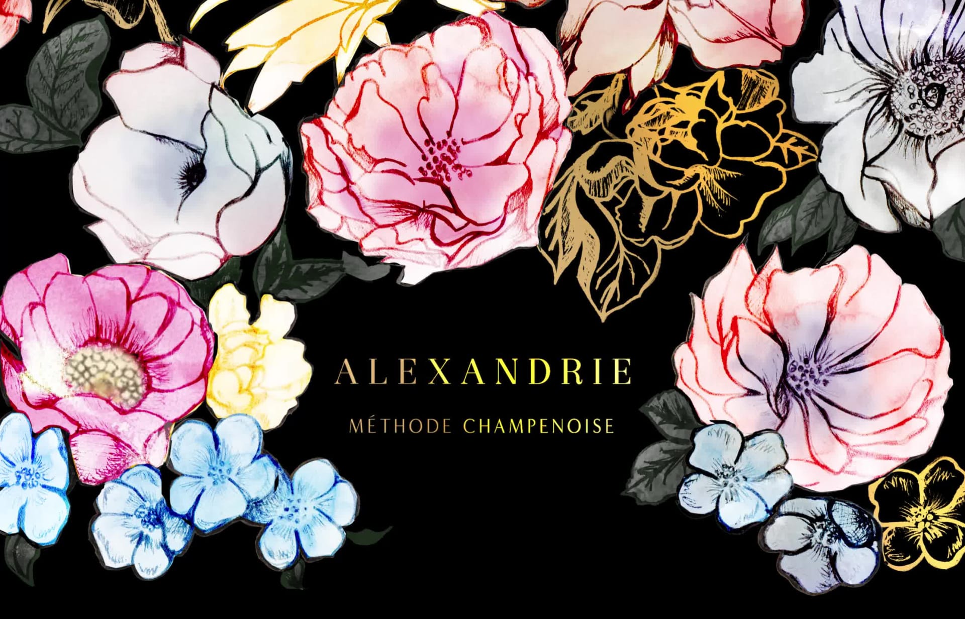 Wine label branding and botanical motion