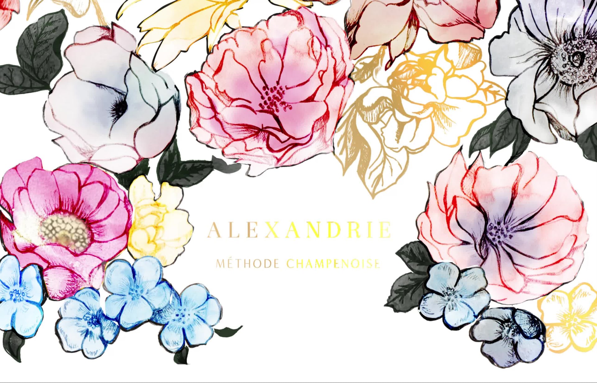 Wine label branding and botanical motion