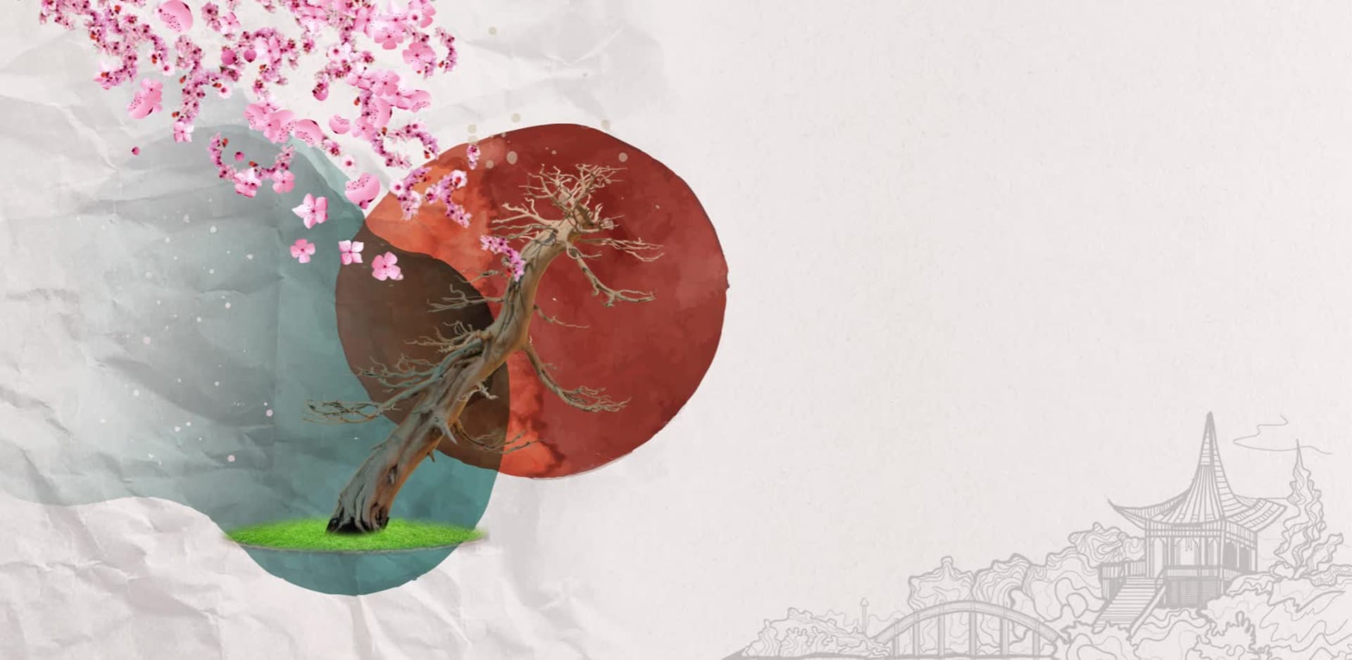 Wine label branding and botanical motion