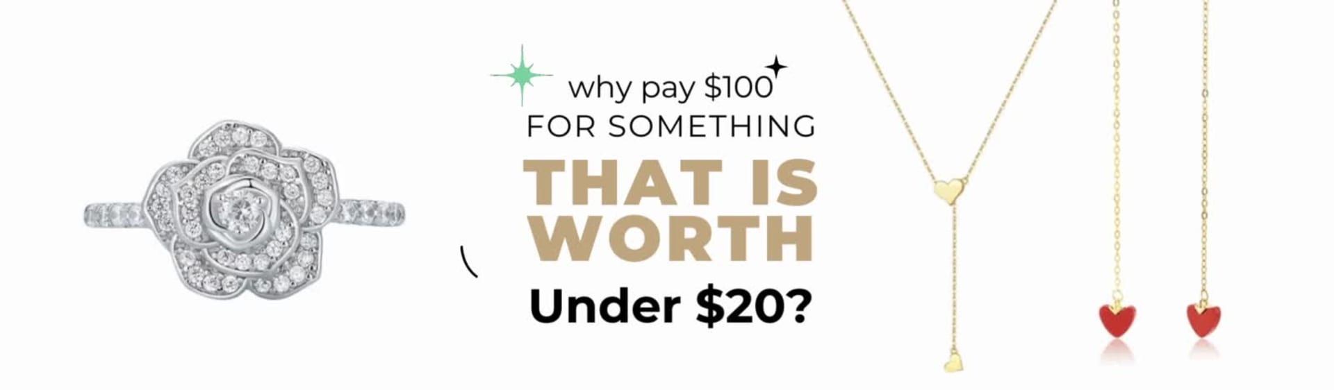 “Why pay $100 for something worth under $20?”