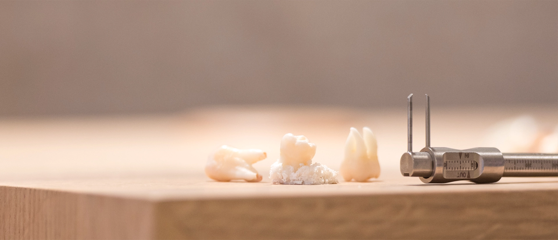 multiple teeth on a desk with a measurment tool