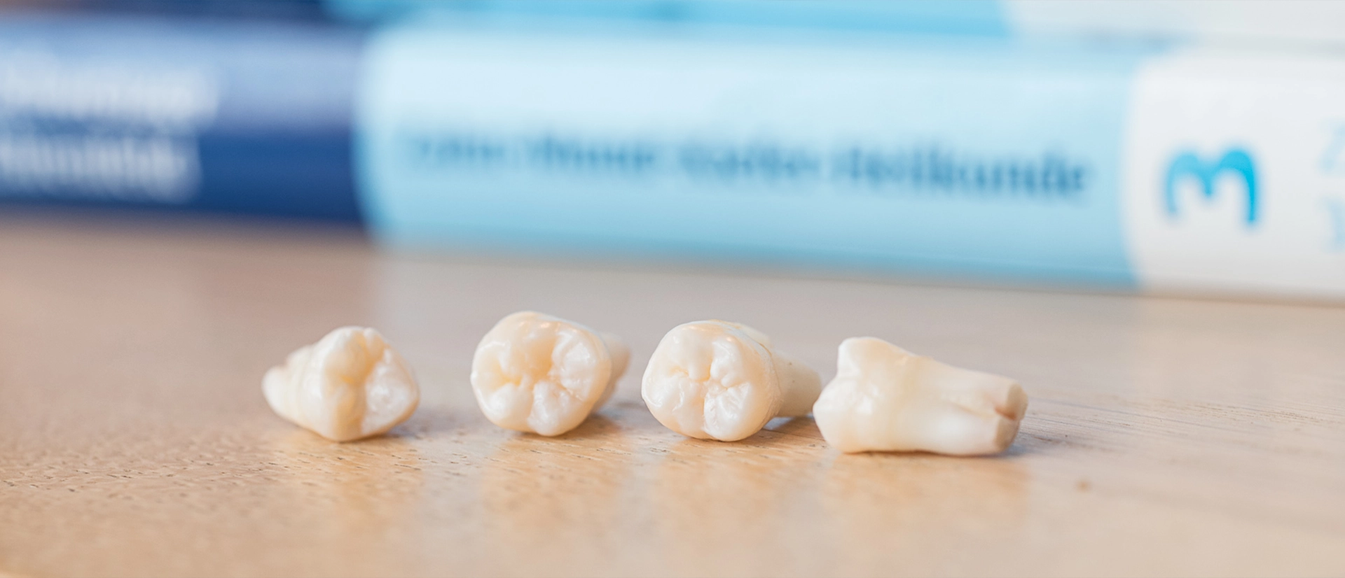 four teeth on a desk