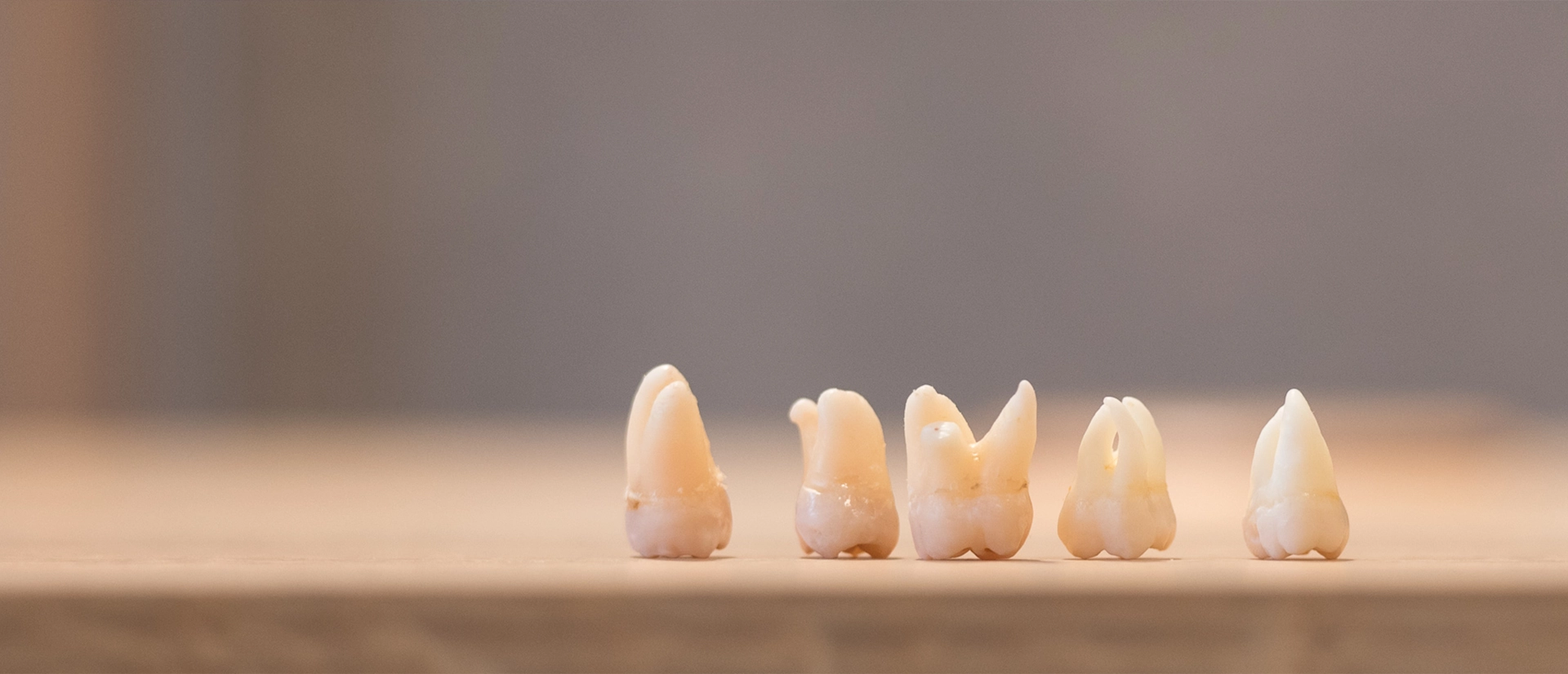 multiple teeth on the desk