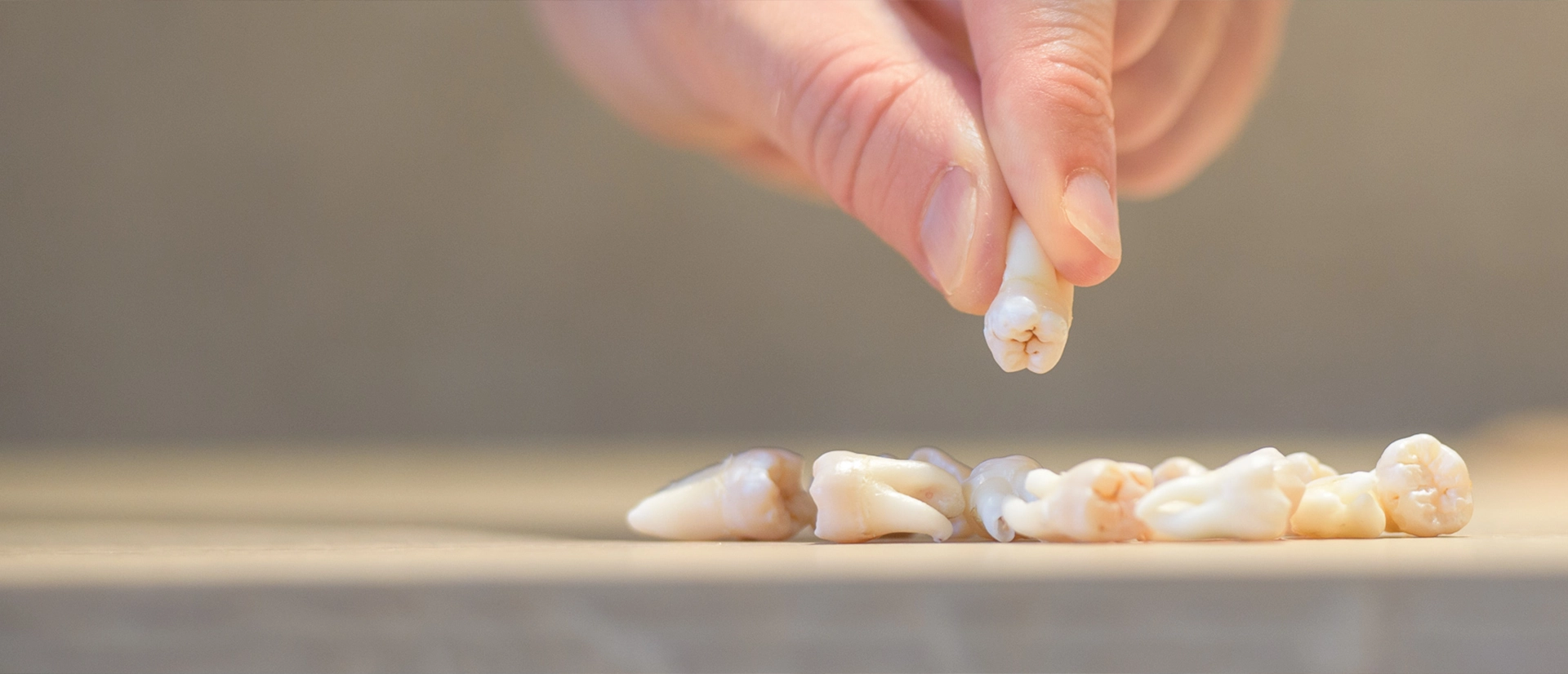 a hand holding a teeth