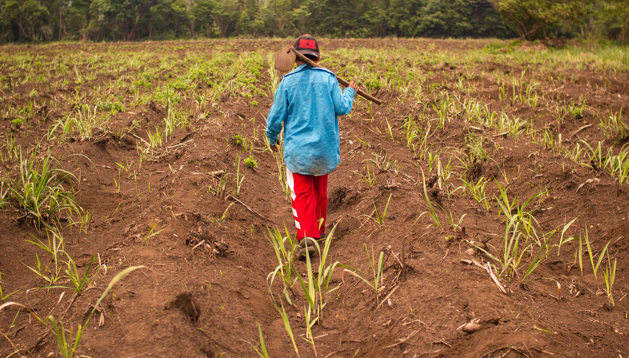 New Zealand businesses need modern slavery legislation to guide them to action. New Zealand businesses need modern slavery legislation to guide them to action.