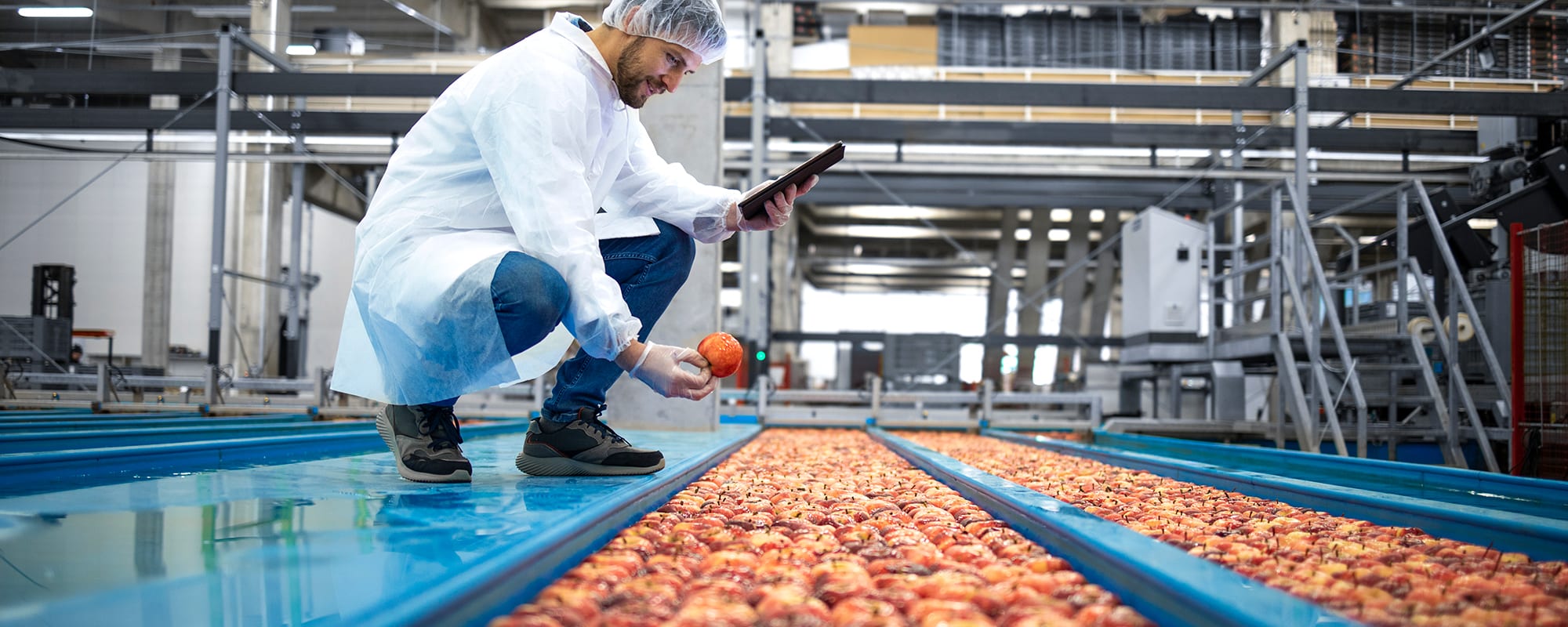 Seven Key Products for Improving Food and Beverage Manufacturing Processes