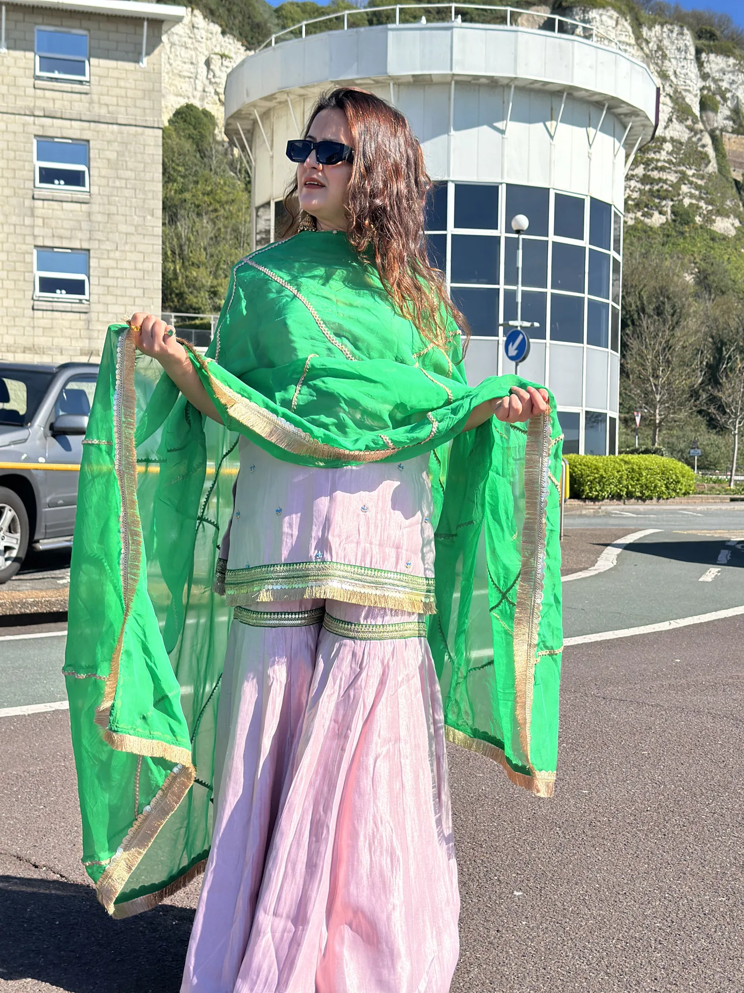 Rosy Gulbahar Sharara Set — view 3