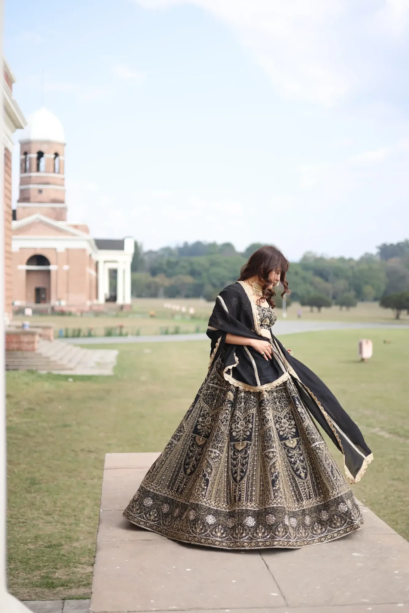 Royal Zari Back Lehenga Set — view 3