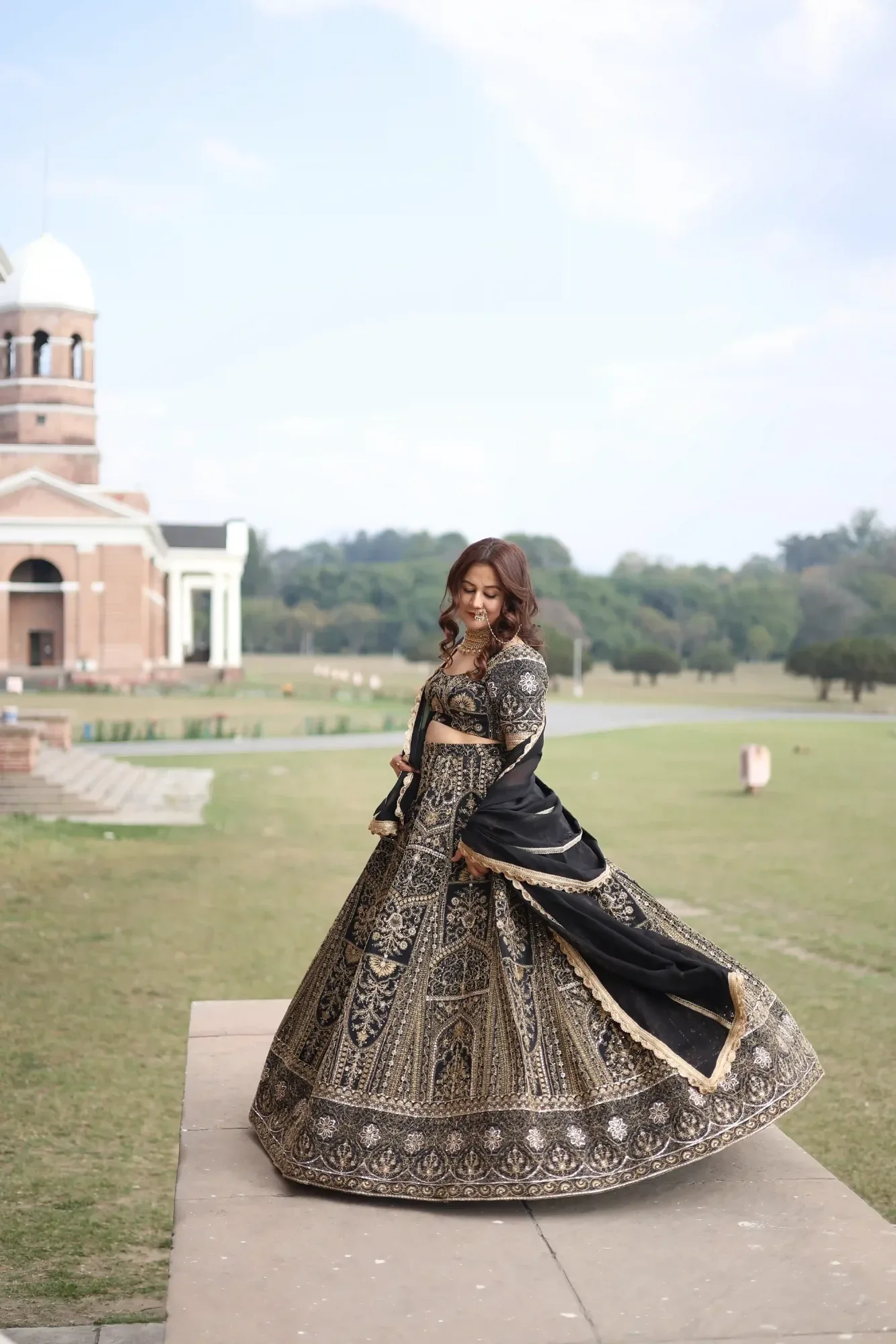 Royal Zari Back Lehenga Set — view 6