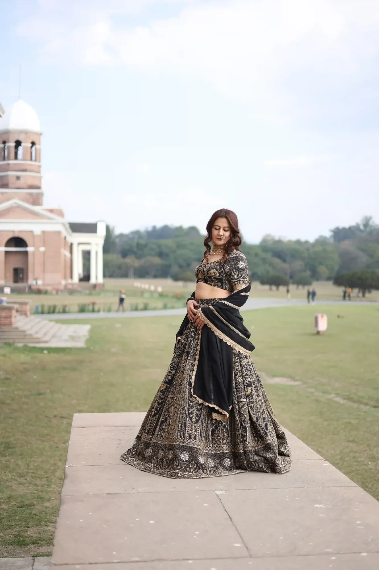Royal Zari Back Lehenga Set — view 5
