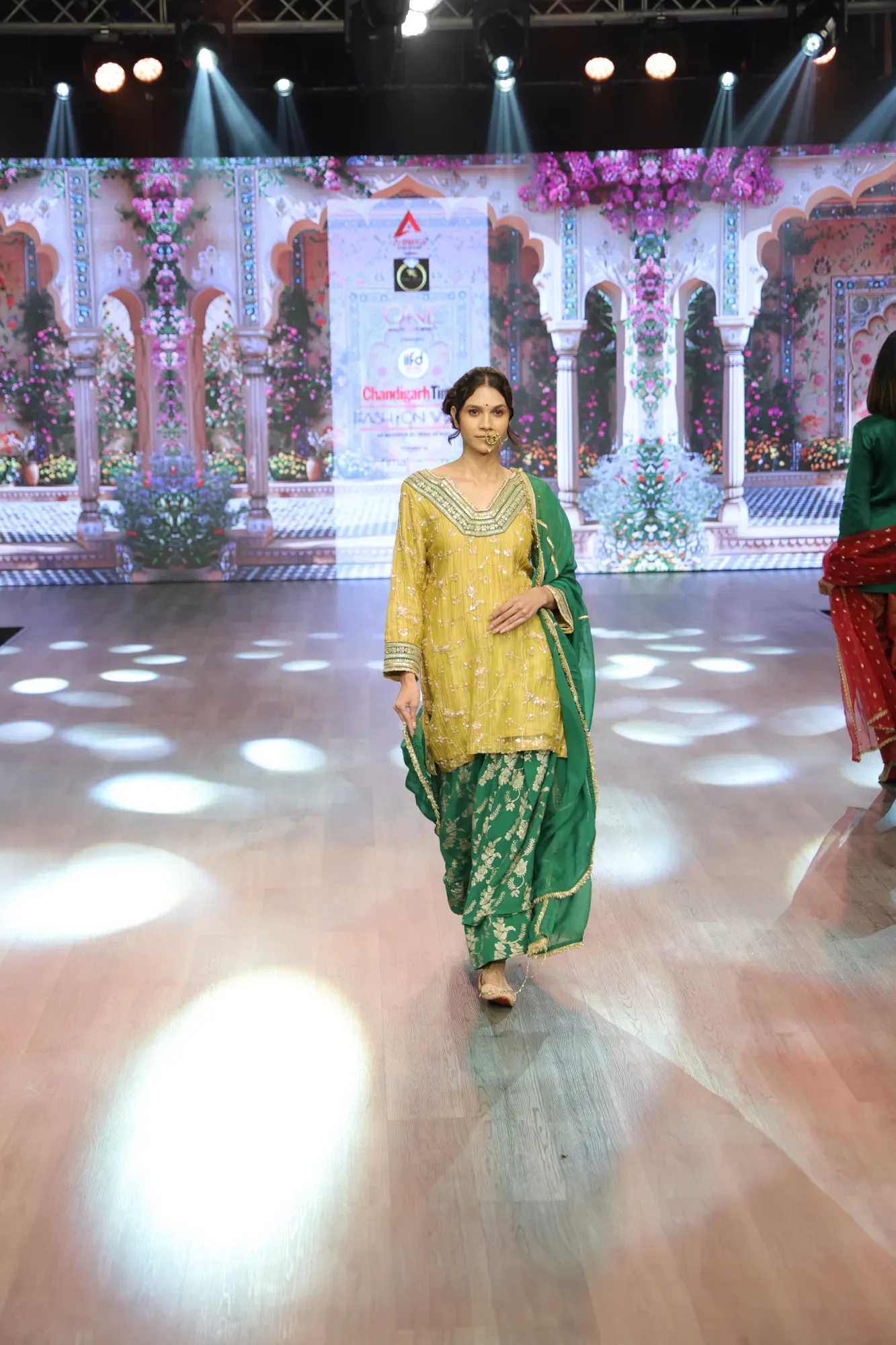 Rang-e-Basant — view 4